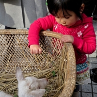 kids playing,Tokyo_JP_people_10